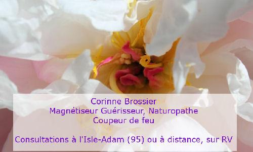 Corinne Brossier, Energéticienne Magnétiseur Relaxation à L